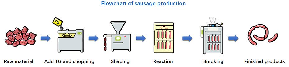 TG - B стандартная методика определения трансгумураза Sausage